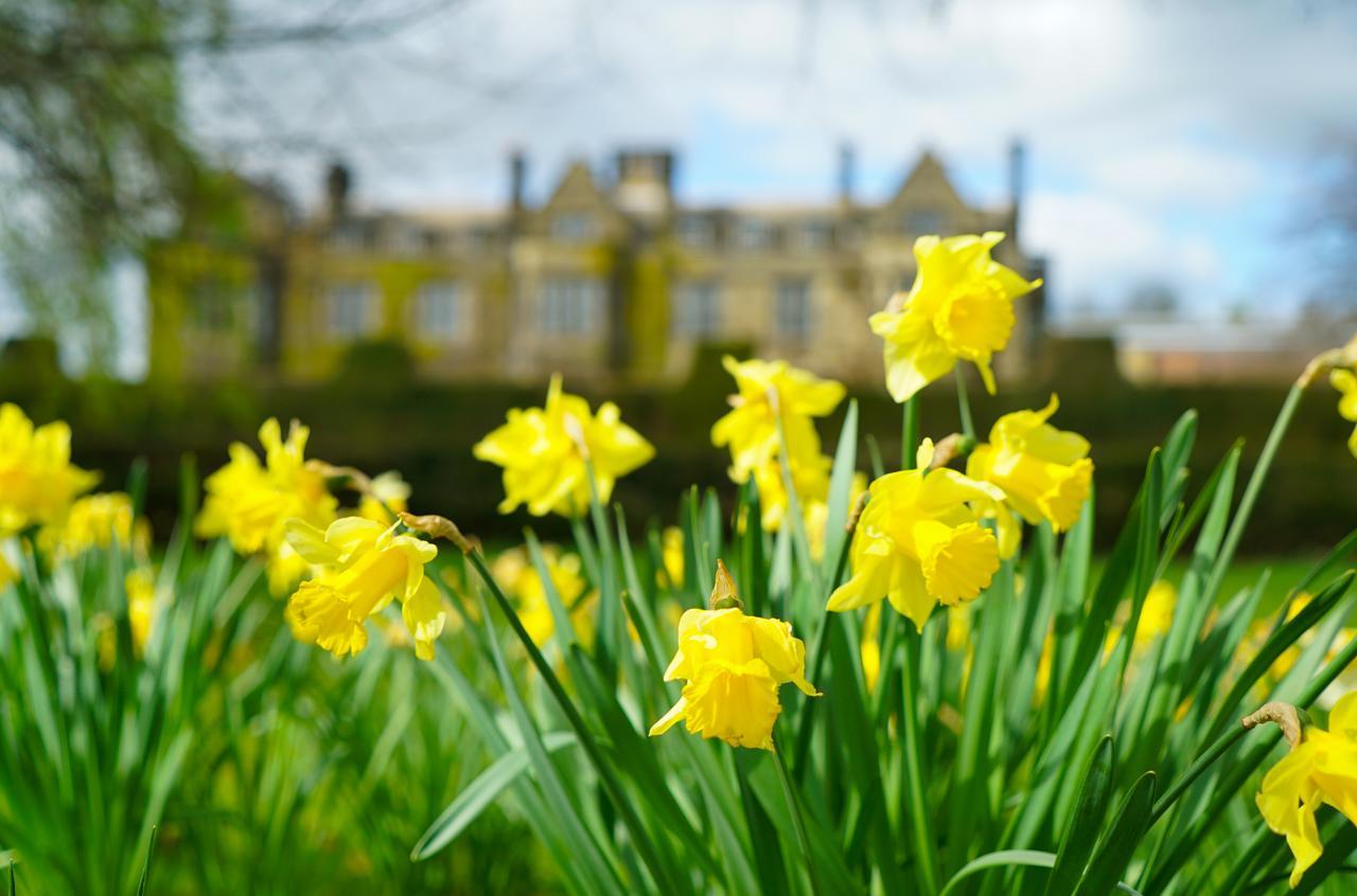 Gisborough Hall Hotel Гисборо Экстерьер фото
